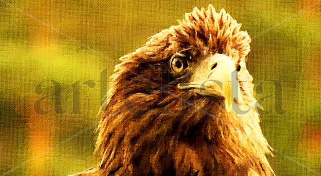 Aguila 