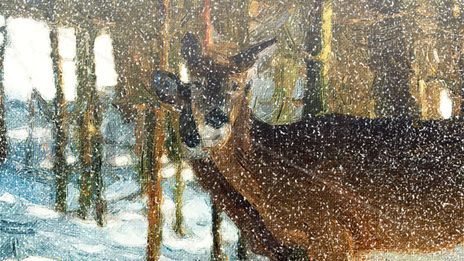 Antilope nevando en...