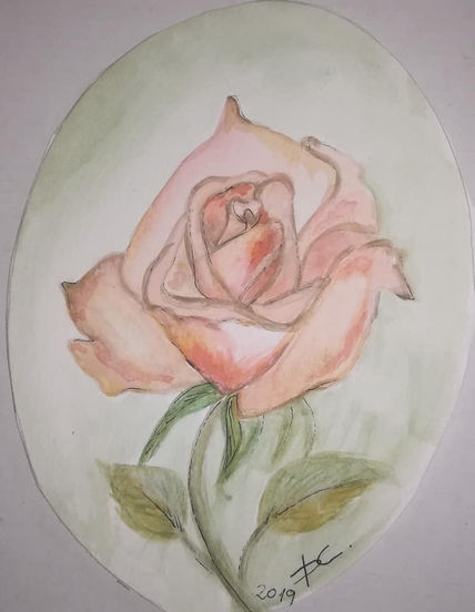 Rosa