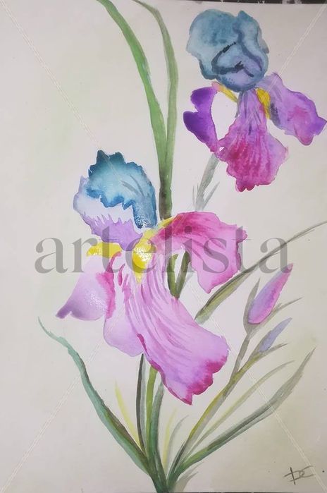 Flor