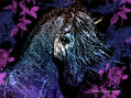 CABALLO DC I