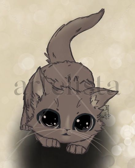 Gato 