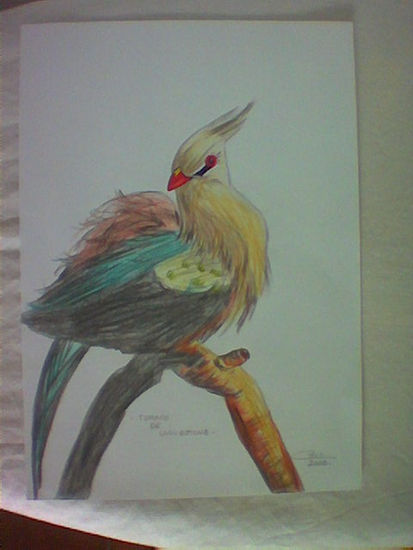 Turaco Lápiz