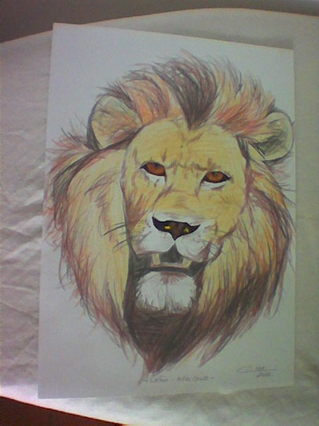 Retrato del Rey