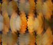 EB67-Abstracto Yellow-2858