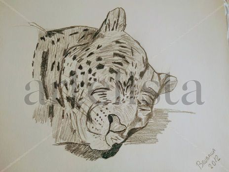 Siesta del tigre