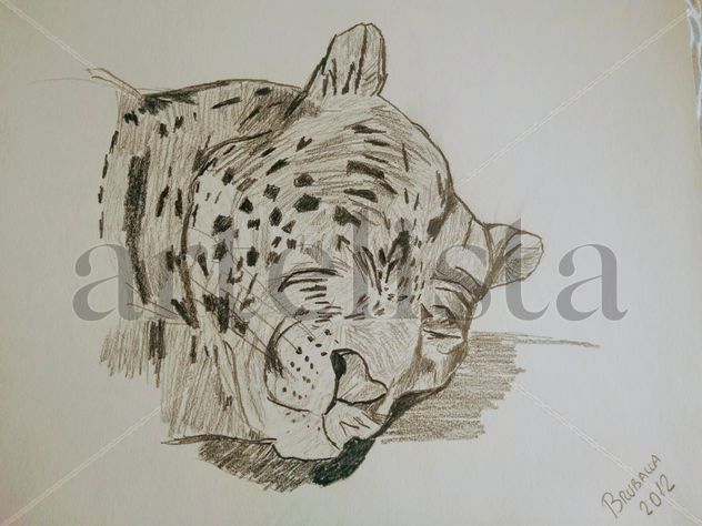 siesta del tigre