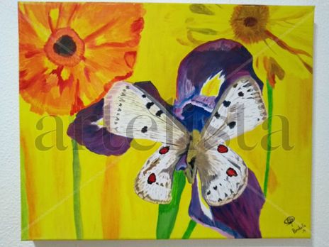 Mariposa sobre...