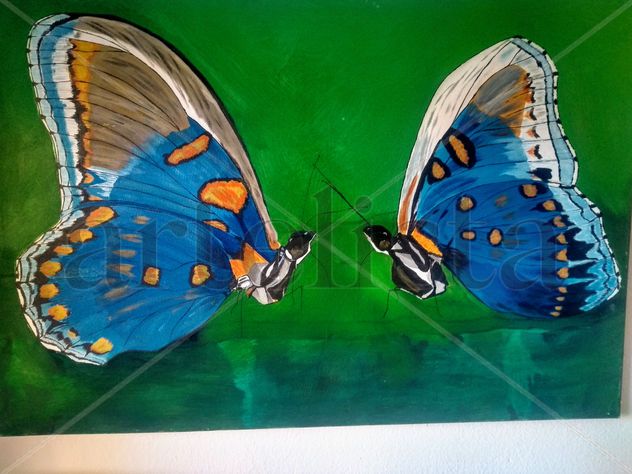 mariposas azules