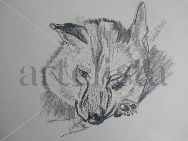 lobo en descanso