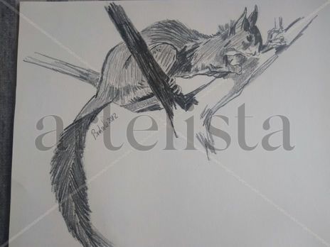 Ardilla en rama