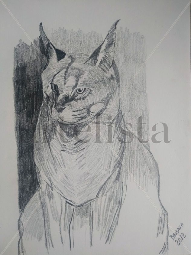 lince