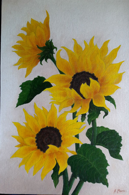 Girasoles