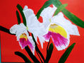 orquidea blanca