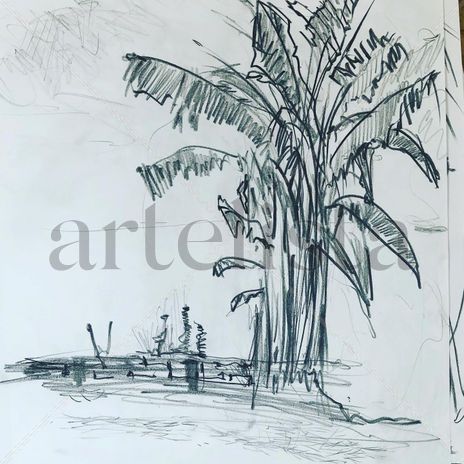 Plátano Guayabo