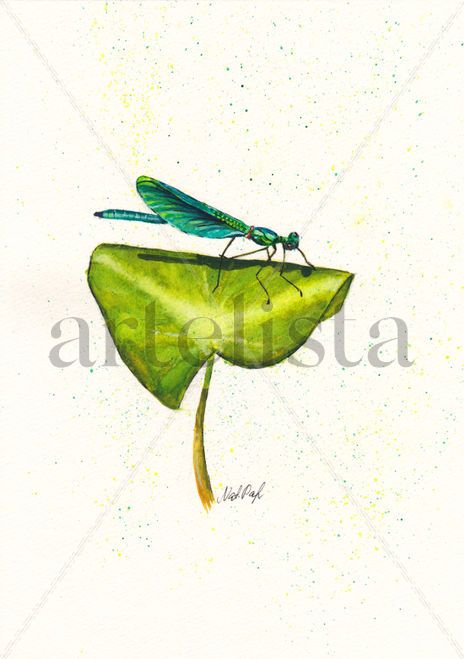 Dragonfly sitting...
