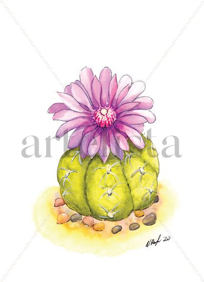 Blooming cactus Acuarela Papel Floral