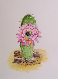 Blooming Cactus