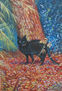 Black cat