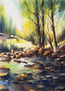 nacimiento rio