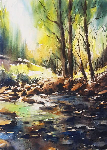 Nacimiento rio