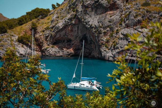 Mar mallorquín