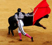Maestros del  toreo