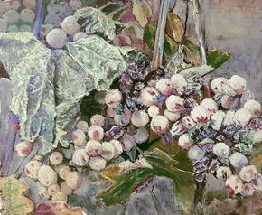 Uvas