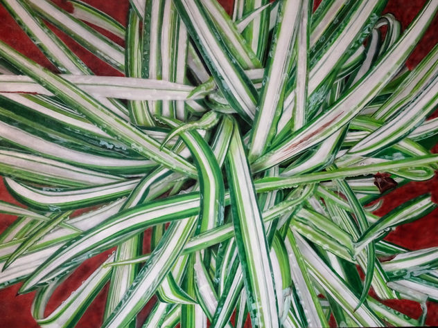 PLANTA