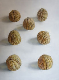 Nueces