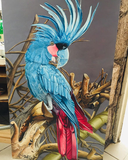 cacatúa azul de palma Oil Canvas Animals