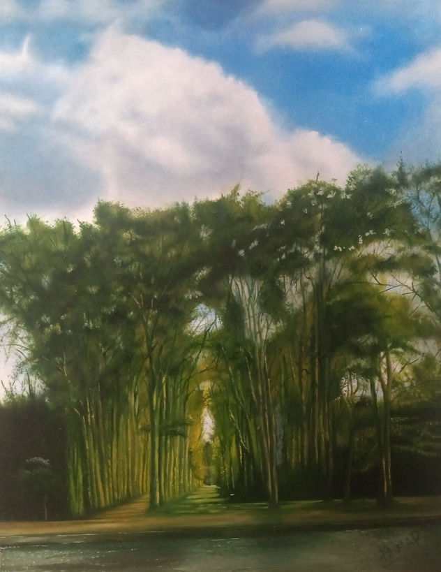 PAISAJE