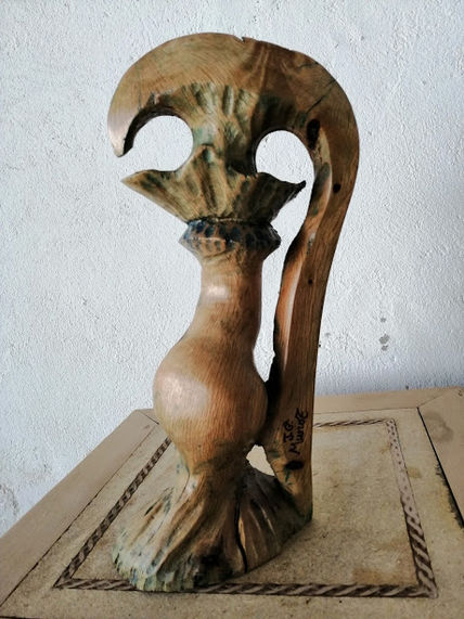 Salvado de la quema
