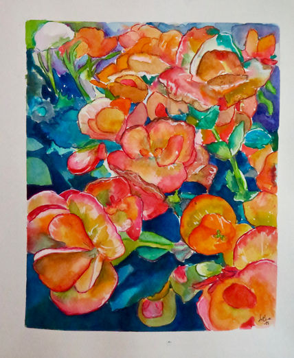Begonias