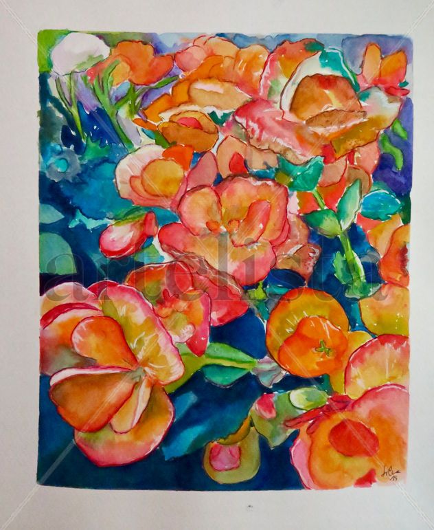 Begonias