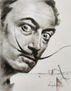 Portrait of DALI