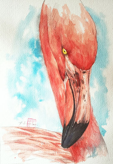 Watercolor- Flamingao Acuarela Papel Animales