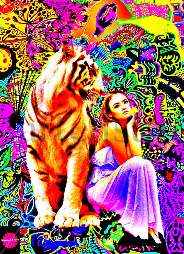 AMOR DE GATO