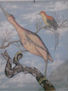 aves
