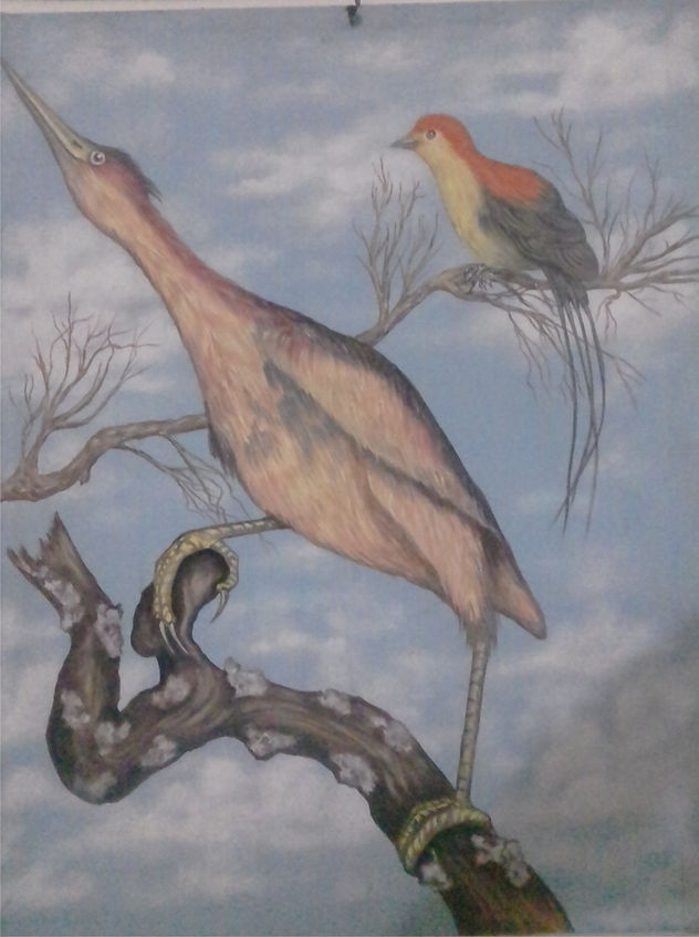 aves