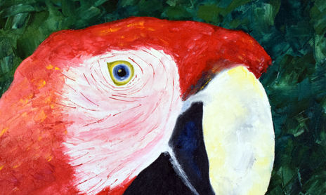 Más vale pájaro en cuadro