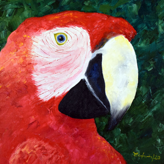 Guacamaya Oil Canvas Animals