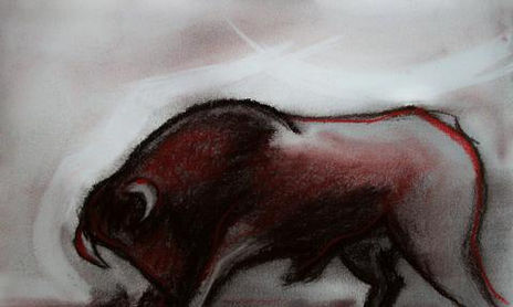 DIBUJO- ESTUDIO DE TOROS