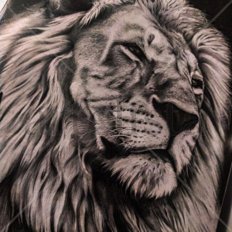 Beast