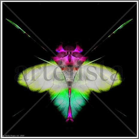 Eb67-butterfly