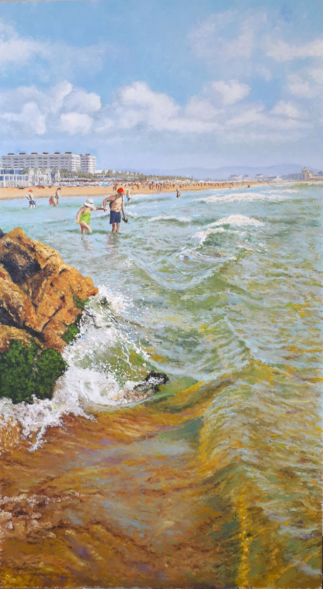 PLAYA DE LA PATACONA