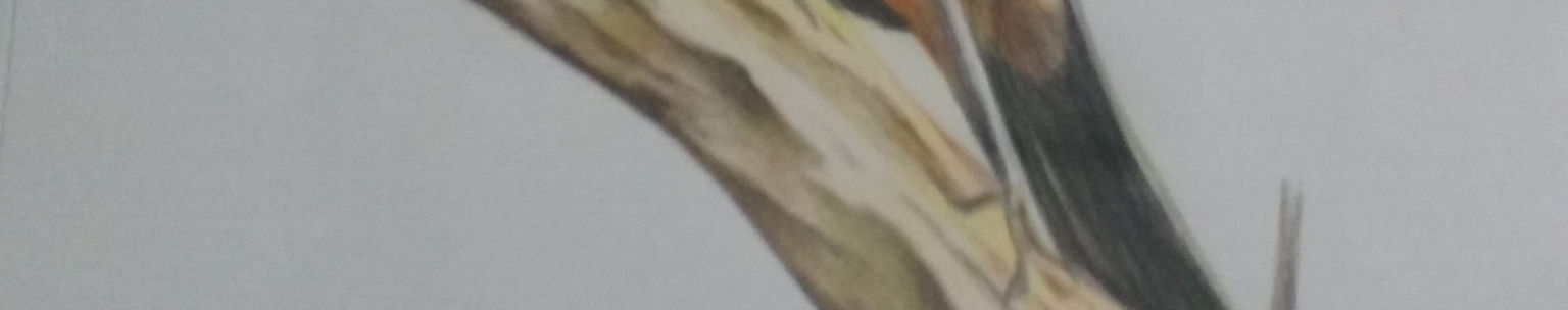 Imagen de portada
