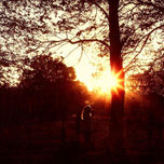 Natura thumbnail 2