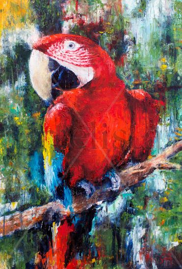 Guacamayo 2020 Óleo Lienzo Animales