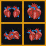 Corazones (4)